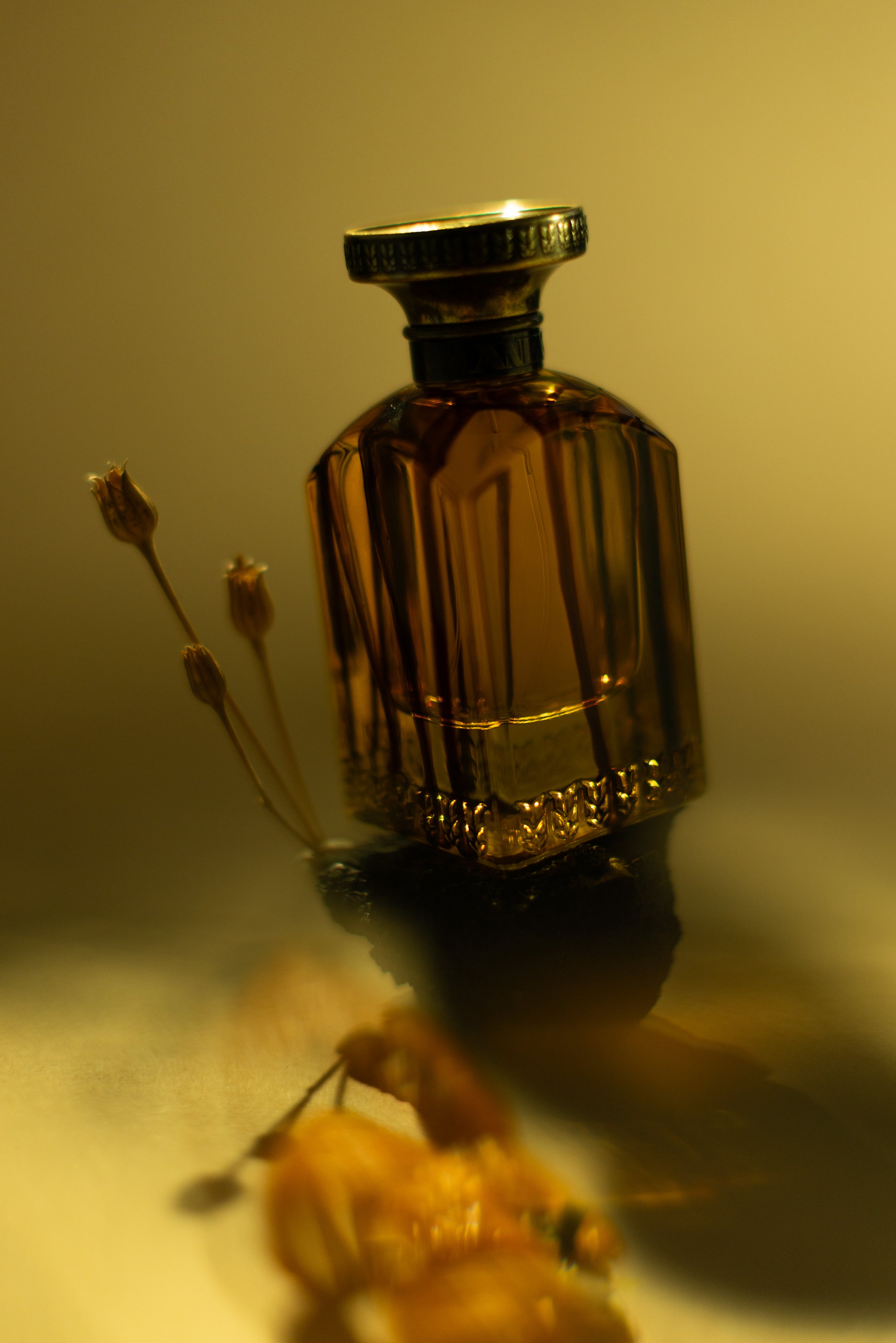 Anfas Fosol Haneen extrait de parfum 75 ml frais profond