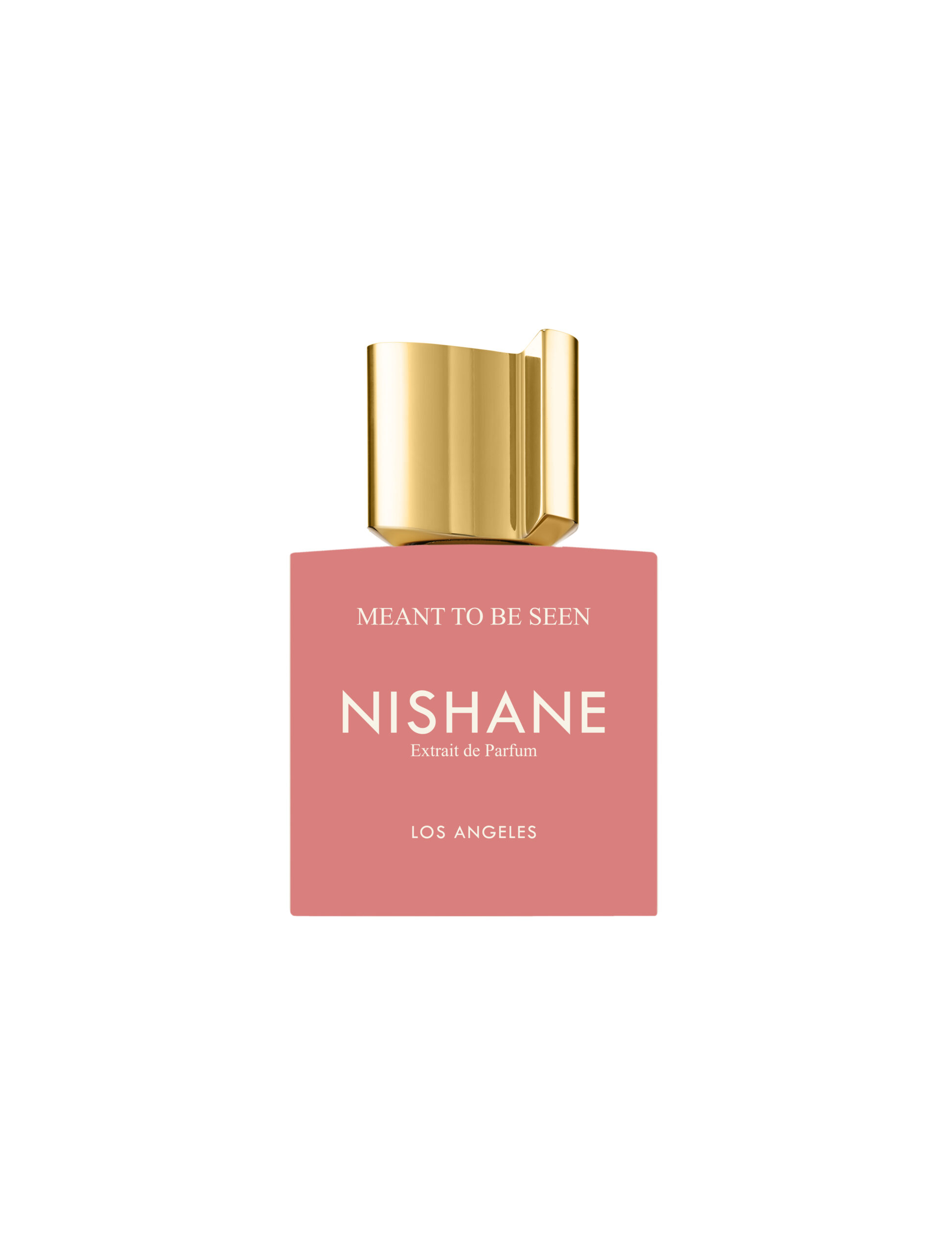 Nishane Meant To Be Seen extrait de parfum iris 50 ml