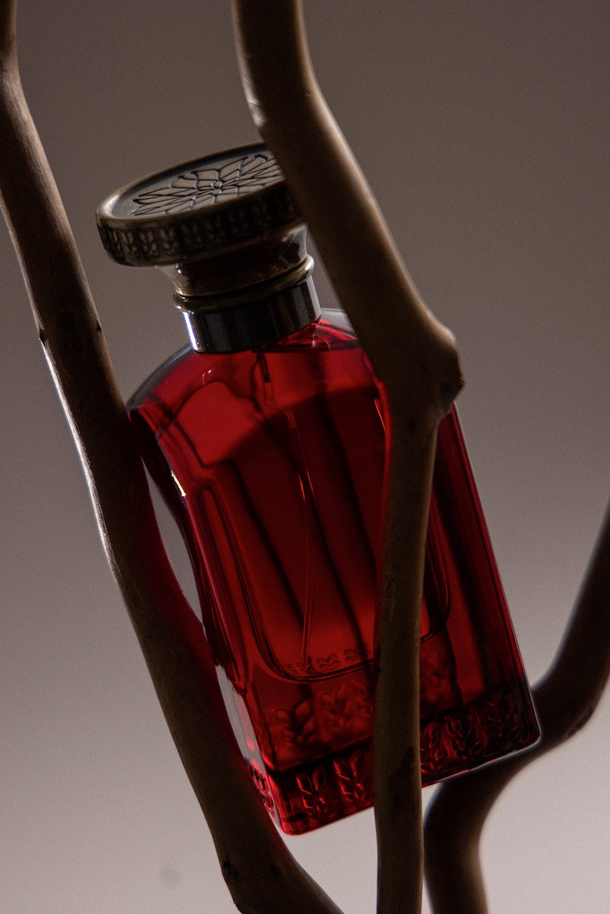 Anfas Fosol Collection Shaouq extrait de parfum 75 ml