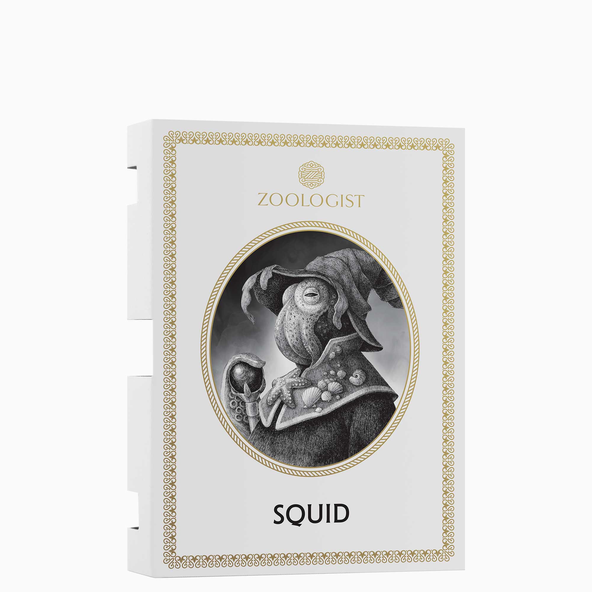Zoologist Squid extrait échantillon marin ambre gris