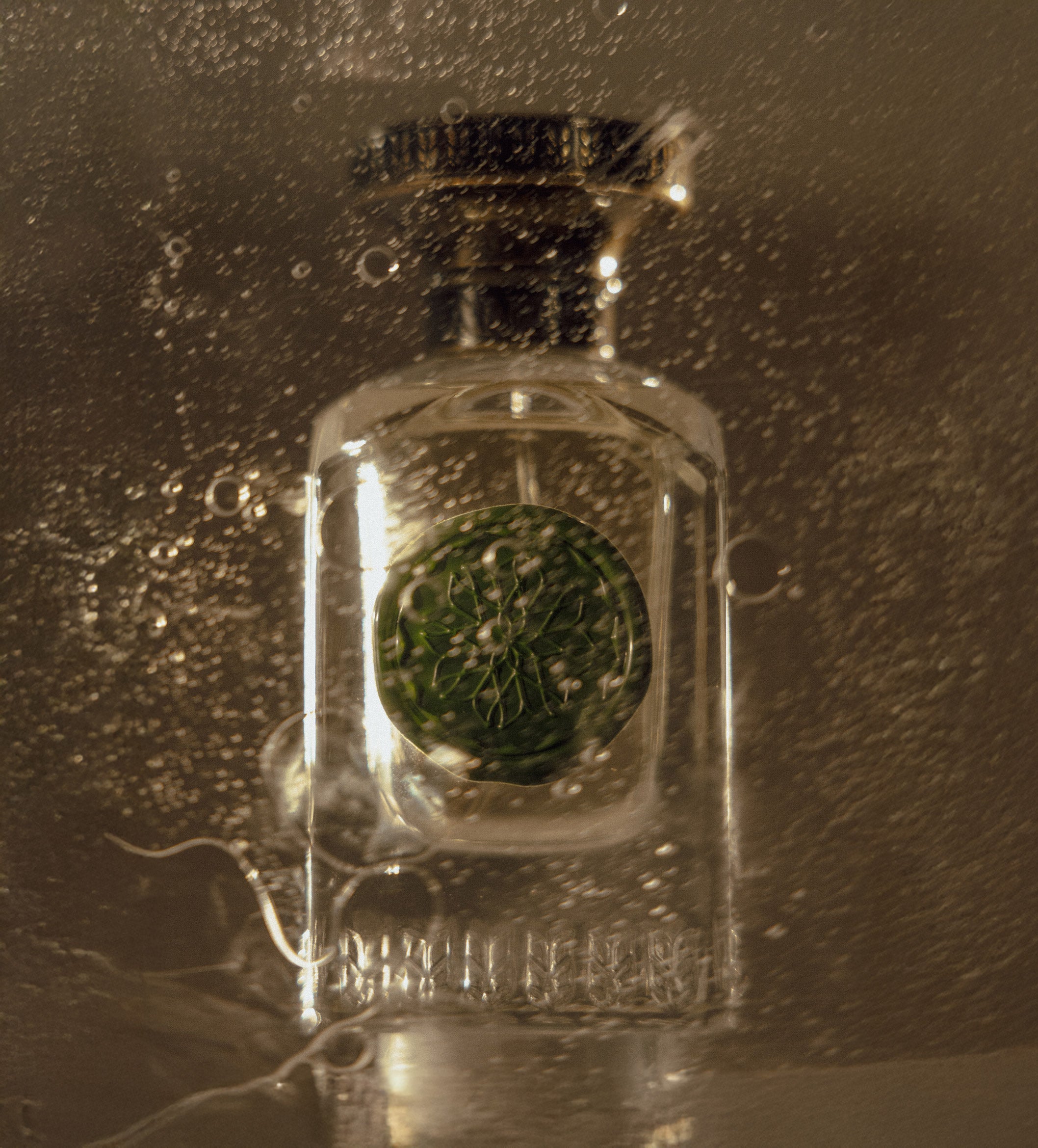 Anfas Essence of Arabia Gaya parfum extrait fruité