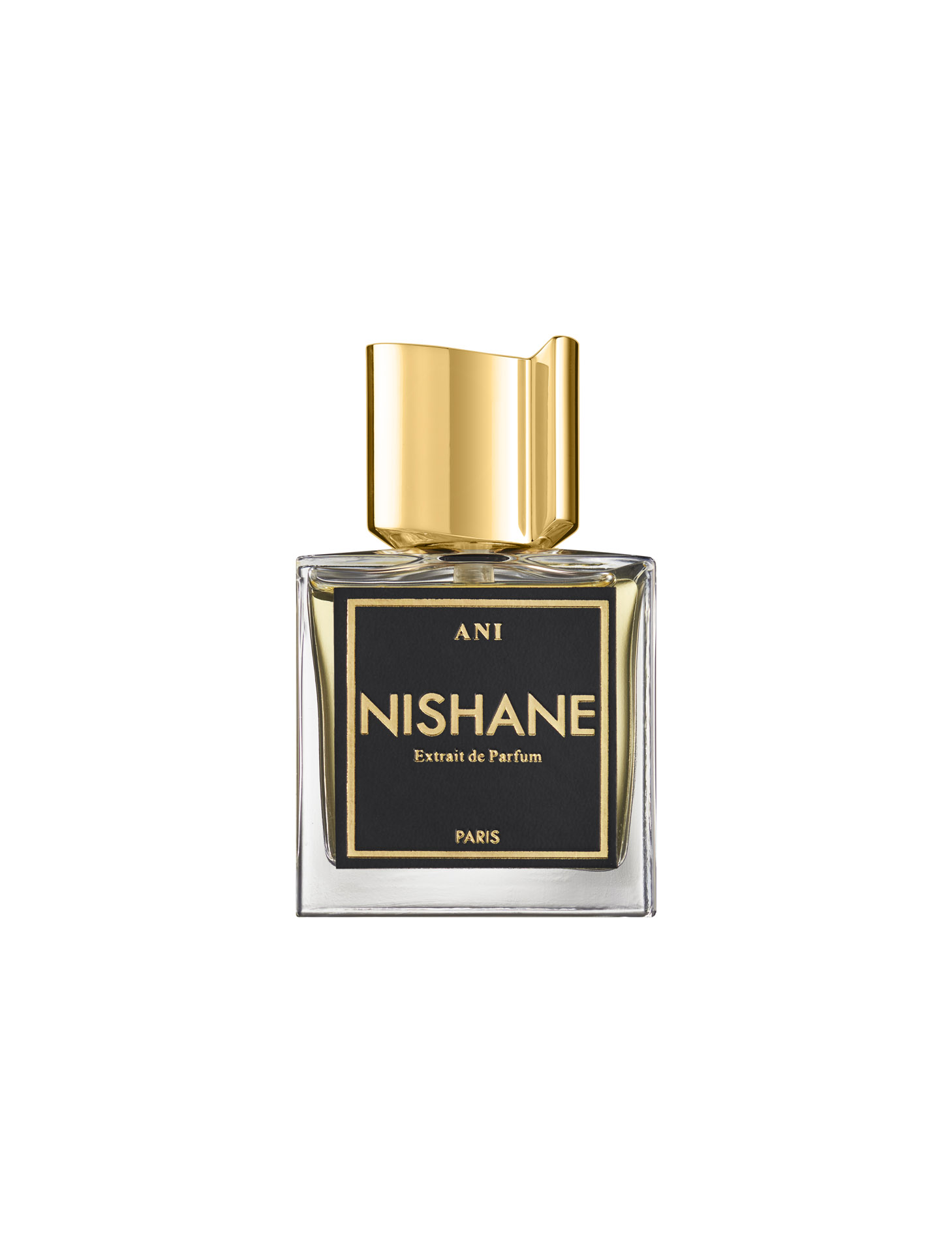 Nishane Ani extrait de parfum vanille patchouli