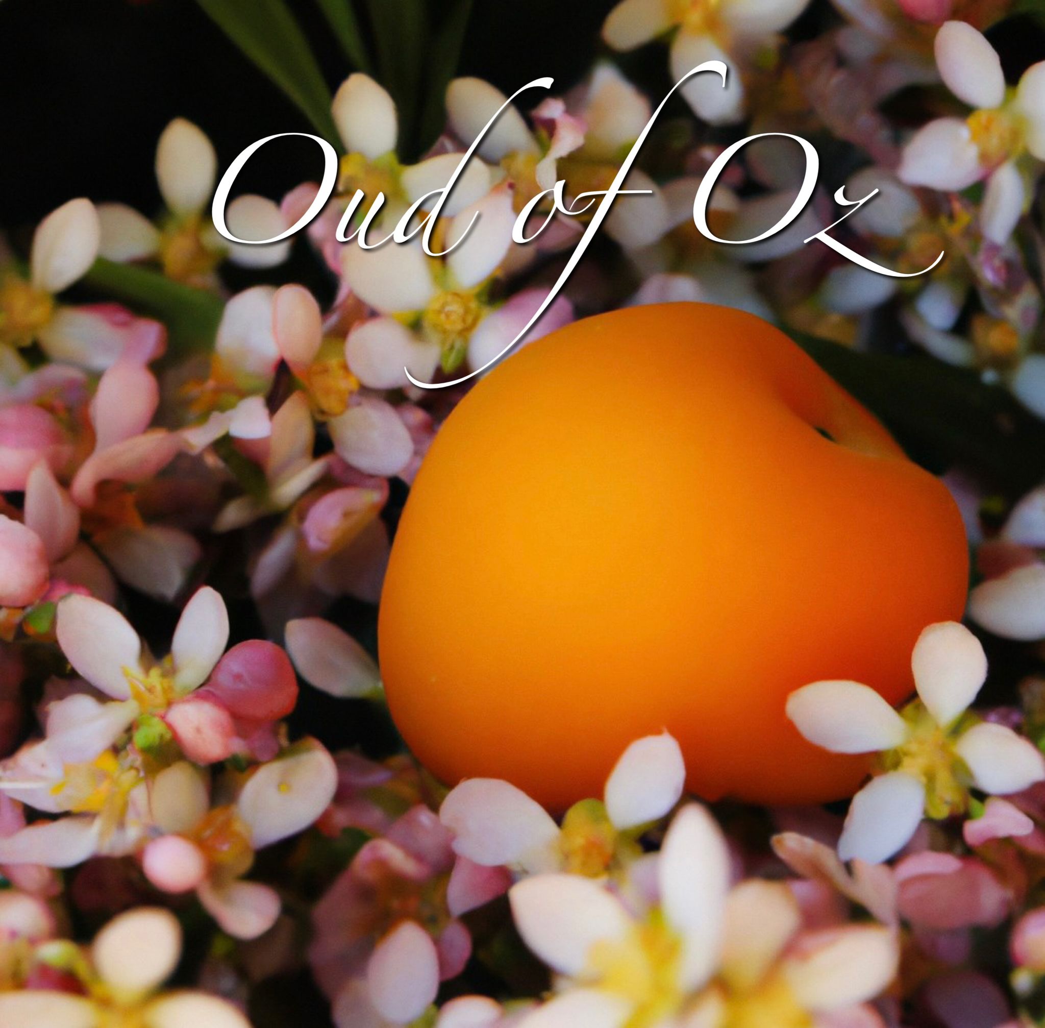 Lost Tribe Perfumes Oud of Oz extrait 15 ml osmanthus oud